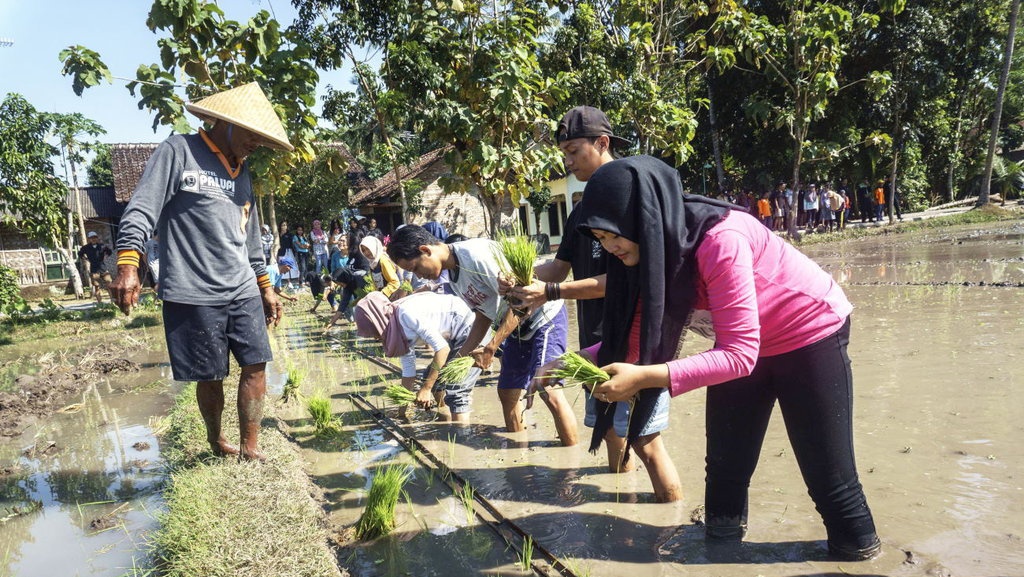 Prosedur Pemberian Dana Desa Dinilai Belum Efektif