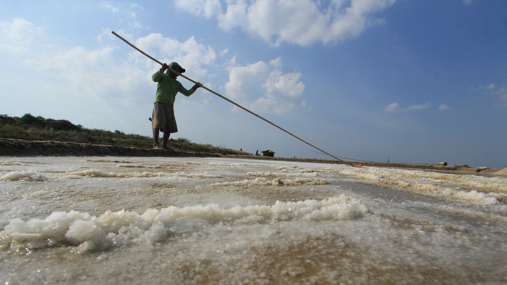 Luhut Nyatakan akan Tingkatkan Produktivitas Garam Nasional 