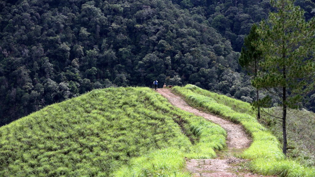 Selain Konsesi, Korupsi HGU Juga Harus Jadi Perhatian