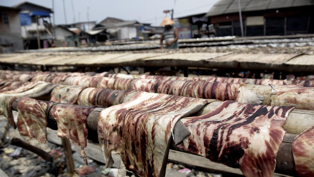 Waspada Dampak Buruk Mengonsumsi Daging dan Sirip Ikan Hiu Waspada Dampak Buruk Mengonsumsi Daging dan Sirip Ikan Hiu
