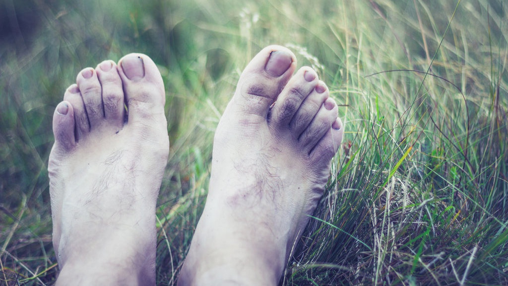 Apa Itu Hipotermia yang Dialami Pengunjung Dieng Culture Festival? Apa Itu Hipotermia yang Dialami Pengunjung Dieng Culture Festival?