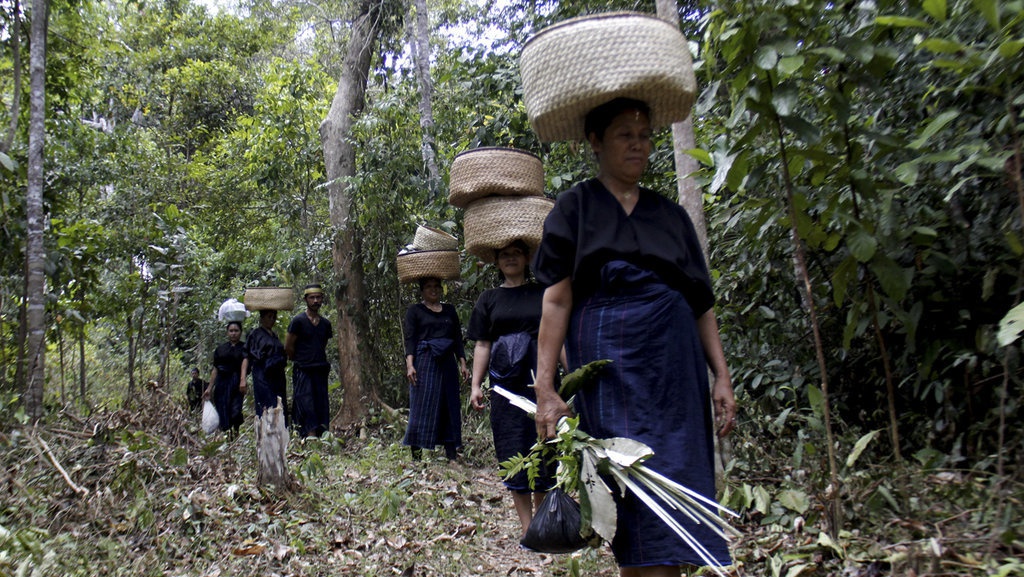 Contoh Kearifan Lokal Dalam Pengelolaan Lingkungan dan Fungsinya Contoh Kearifan Lokal Dalam Pengelolaan Lingkungan dan Fungsinya