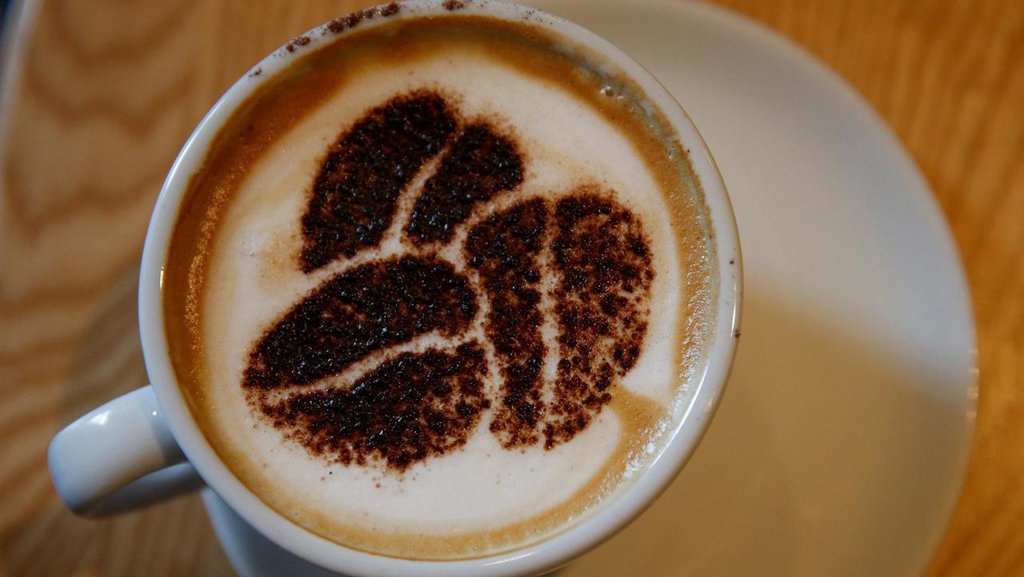 3 Cara Menyimpan Kopi agar Tetap Segar dan Berkualitas 3 Cara Menyimpan Kopi agar Tetap Segar dan Berkualitas