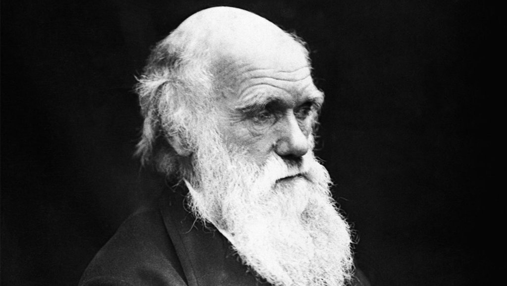 Ras sebagai Fenomena Biologis Hanya Akal-akalan Imperialis Eropa