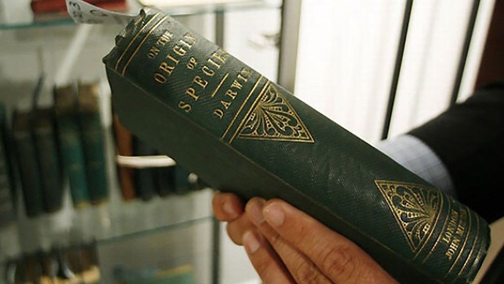 Apa Itu Survival of The Fittest dan Maksudnya di Teori Evolusi