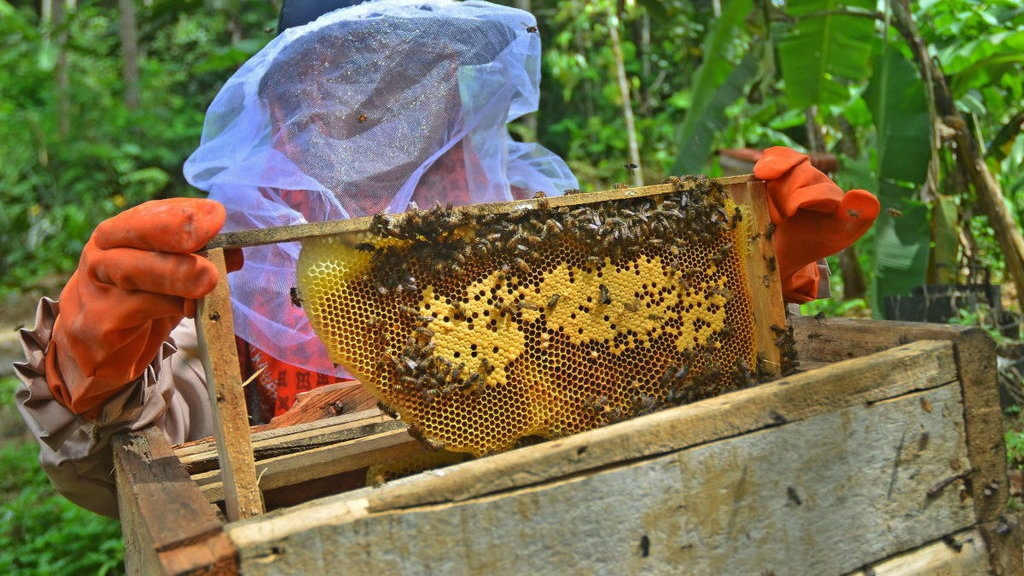 Apa Saja Keuntungan Budidaya Satwa Harapan dan Jenisnya? Apa Saja Keuntungan Budidaya Satwa Harapan dan Jenisnya?