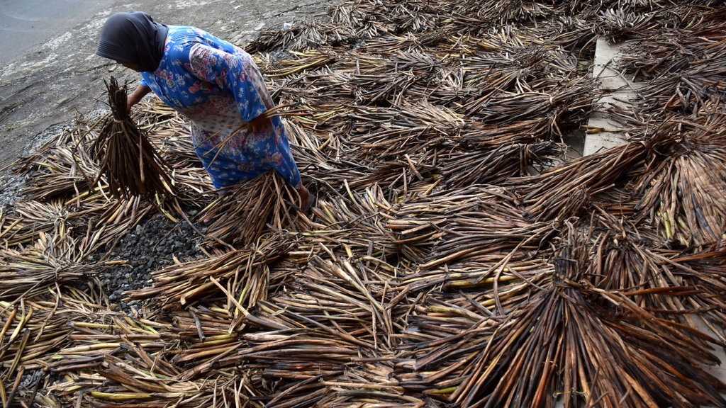 Cara Pengolahan Limbah Organik Basah: Langkahnya sejak Proses Awal Cara Pengolahan Limbah Organik Basah: Langkahnya sejak Proses Awal