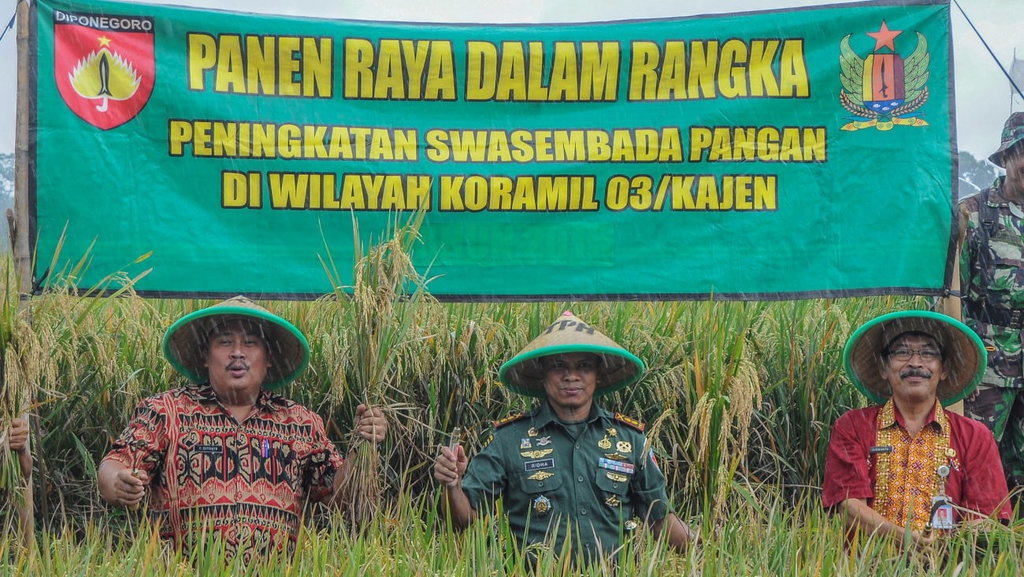 Pelibatan TNI Bantu Bulog Serap Beras Petani Salah Kaprah Pelibatan TNI Bantu Bulog Serap Beras Petani Salah Kaprah