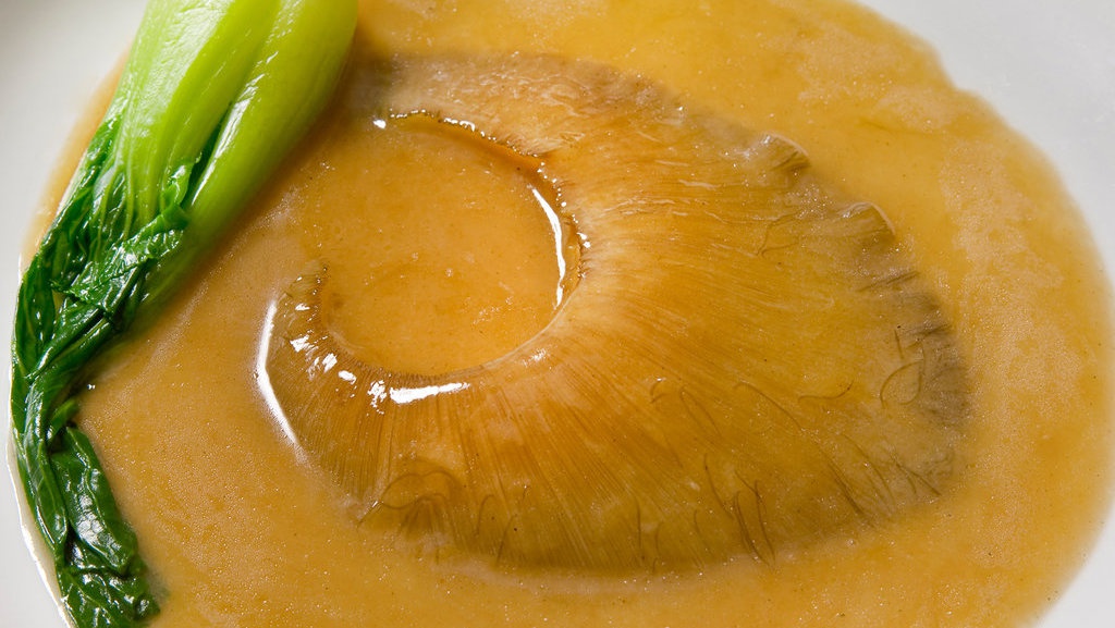 Beramai-ramai Berhenti Menyantap Hiu