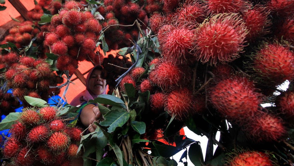 Manfaat Buah Rambutan Bagi Kesehatan dan Kandungan Gizinya Manfaat Buah Rambutan Bagi Kesehatan dan Kandungan Gizinya