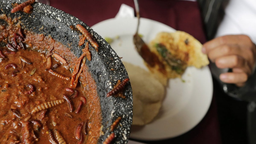 Mengenal Kuliner Ekstrem, Memahami Dunia yang Tak Homogen Mengenal Kuliner Ekstrem, Memahami Dunia yang Tak Homogen