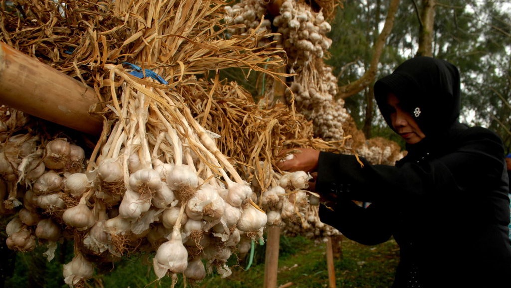 5 Manfaat Bumbu Dapur yang Baik untuk Kesehatan 5 Manfaat Bumbu Dapur yang Baik untuk Kesehatan
