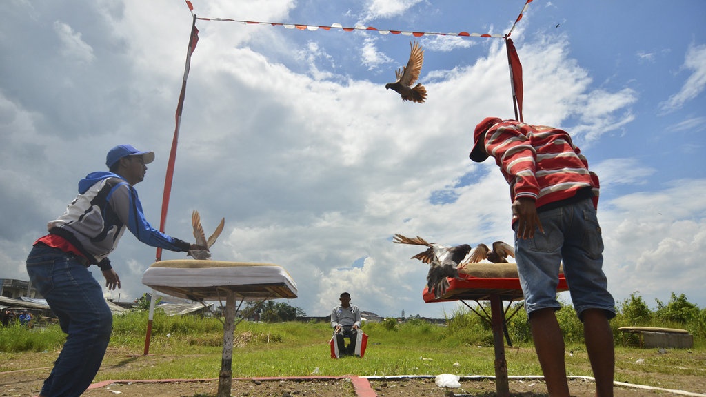 Jadwal Lomba Burung 26-27 April 2025 Jogja, Magelang, & Klaten Jadwal Lomba Burung 26-27 April 2025 Jogja, Magelang, & Klaten