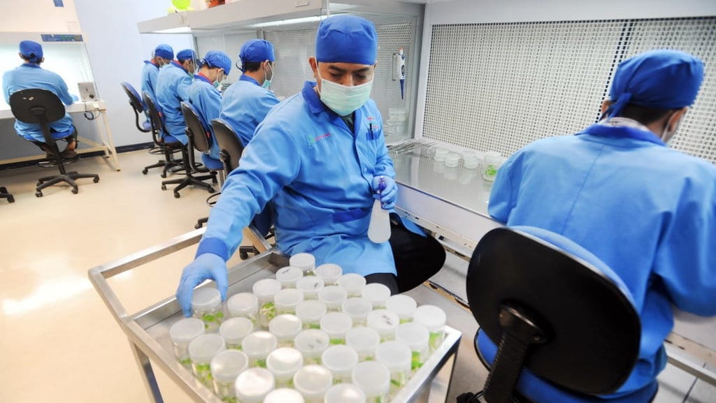 Dana Riset Asing Senilai Rp623 Miliar Masuk Indonesia pada 2018