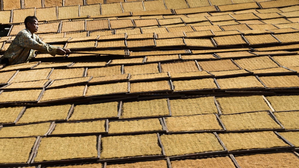 Poenale Sanctie dan Penyiksaan terhadap Buruh Perkebunan Deli