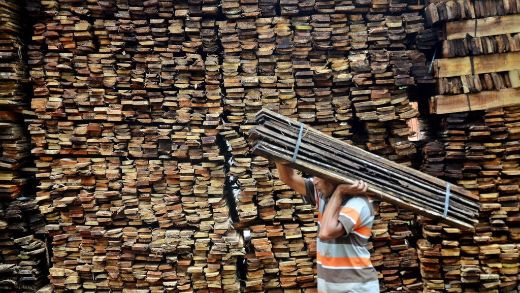 Tudingan Koalisi Anti Mafia Hutan Vs Sanggahan Sinar Mas