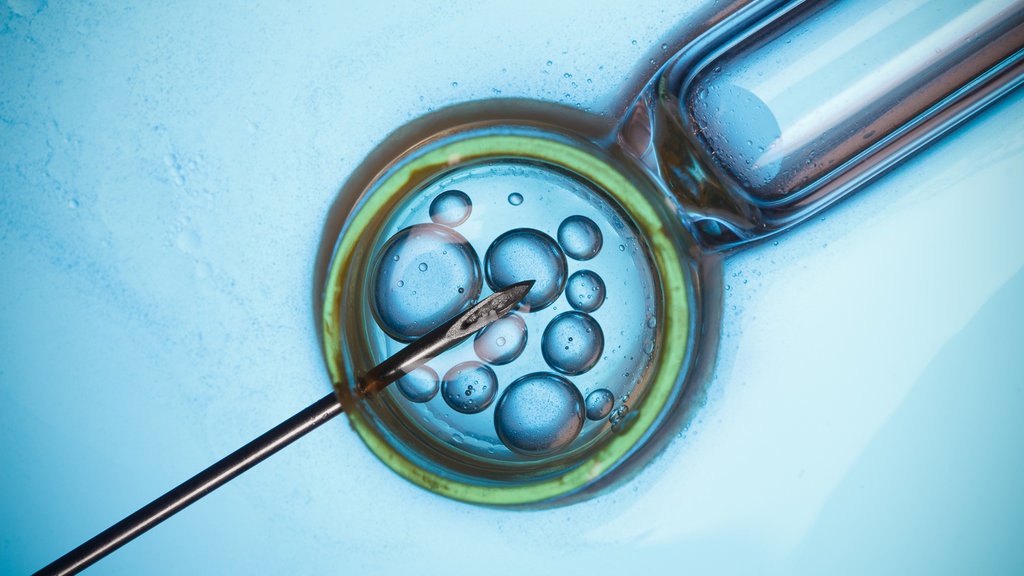 Beberapa Jalan untuk Mendapatkan Momongan Beberapa Jalan untuk Mendapatkan Momongan