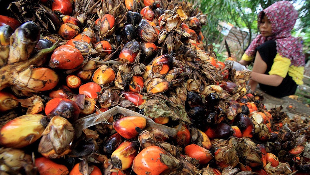 Pengusaha Sawit: Hampir 100% Devisa Ekspor Sudah Dikonversi Pengusaha Sawit: Hampir 100% Devisa Ekspor Sudah Dikonversi