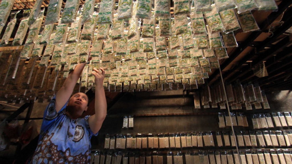 10 Perbedaan Respirasi Aerob dan Anaerob 10 Perbedaan Respirasi Aerob dan Anaerob