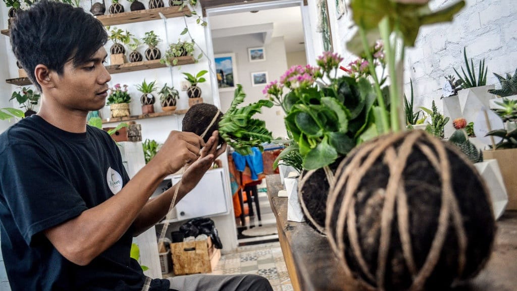 Ciri Umum dan Khusus Makhluk Hidup: Manusia, Hewan, Tumbuhan Ciri Umum dan Khusus Makhluk Hidup: Manusia, Hewan, Tumbuhan