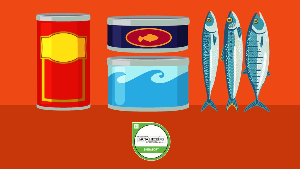 Cina Pemasok 65 Persen Ikan Makarel Impor ke Indonesia