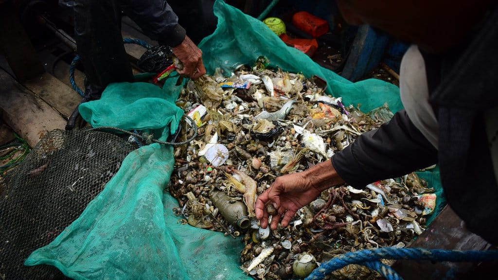 Cantrang Kembali Dilarang, Trenggono Cabut Aturan Edhy & Tiru Susi Cantrang Kembali Dilarang, Trenggono Cabut Aturan Edhy & Tiru Susi