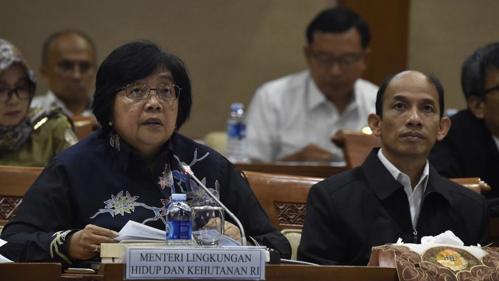 Sikap KLHK Soal Kerugian Lingkungan Rp185 Triliun Akibat Freeport