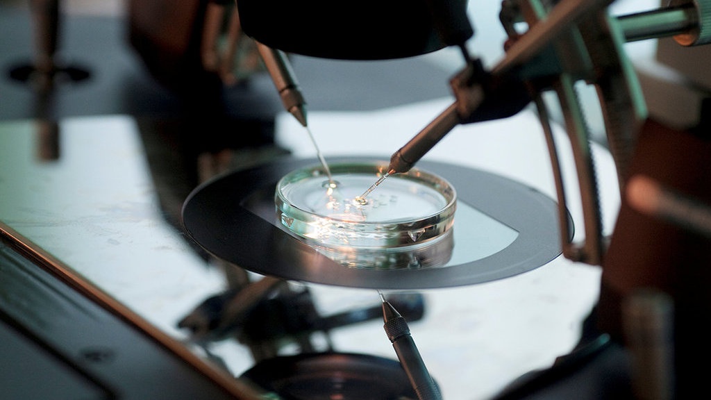 Louise Joy Brown: Bayi Tabung yang Lahir di Tengah Kontroversi Louise Joy Brown: Bayi Tabung yang Lahir di Tengah Kontroversi