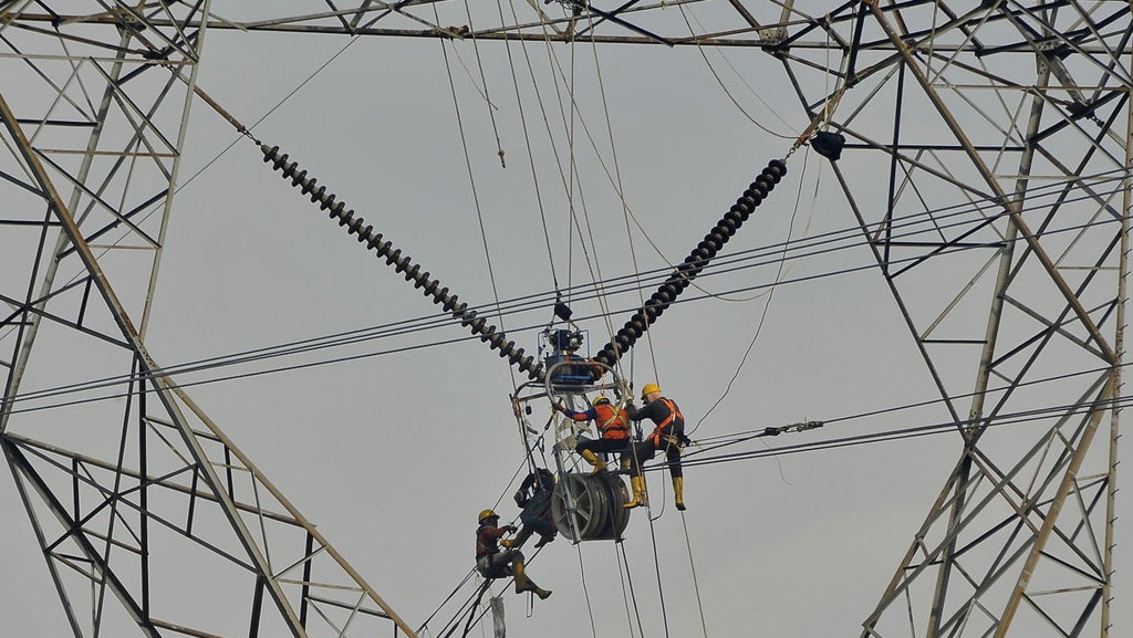 Dugaan Pohon Sebabkan Mati Listrik, ESDM: Harusnya Dipotong