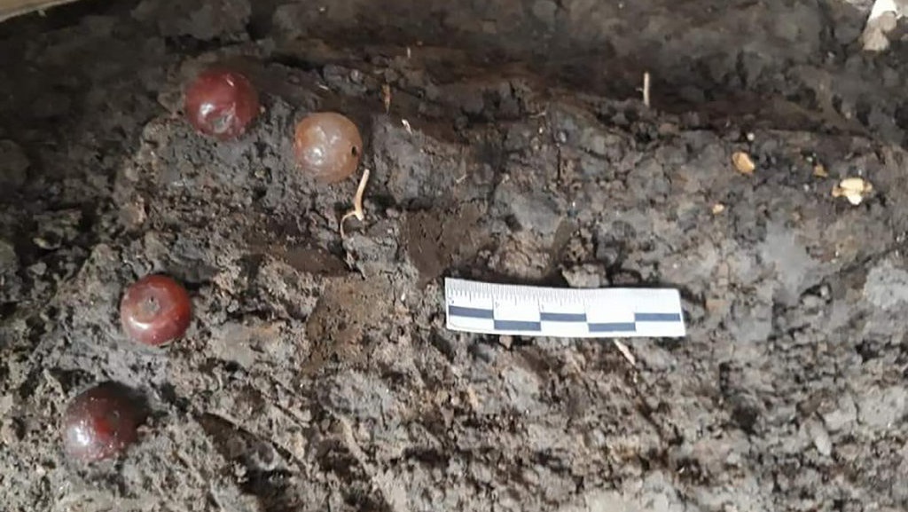 Jejak Manusia Austronesia di Subang Jejak Manusia Austronesia di Subang