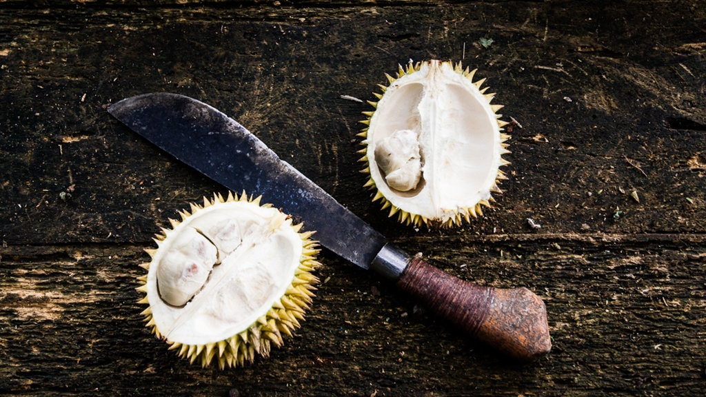 Manfaat Buah Durian: Lawan Kanker hingga Cegah Penuaan Dini Manfaat Buah Durian: Lawan Kanker hingga Cegah Penuaan Dini
