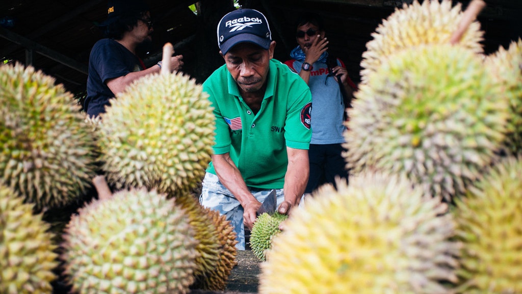 J-Queen dan Durian-Durian Termahal di Dunia J-Queen dan Durian-Durian Termahal di Dunia
