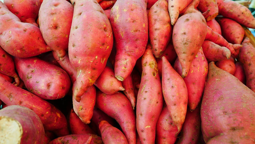 Daftar 4 Kandungan Nutrisi Ubi Jalar dan Manfaat Bagi Tubuh Daftar 4 Kandungan Nutrisi Ubi Jalar dan Manfaat Bagi Tubuh