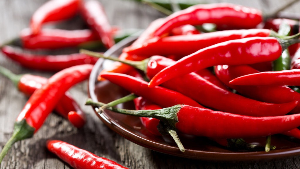 3 Cara Menyimpan Cabai Agar Awet Tanpa Kulkas & Tips Mengawetkan 3 Cara Menyimpan Cabai Agar Awet Tanpa Kulkas & Tips Mengawetkan