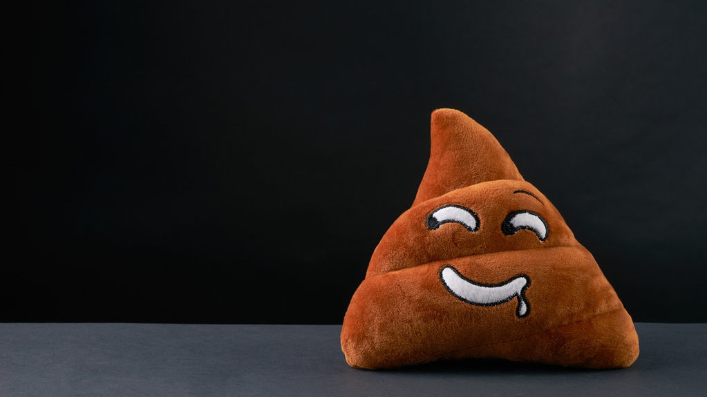 Contohlah Kim Jong Un yang Menghargai Fesesnya