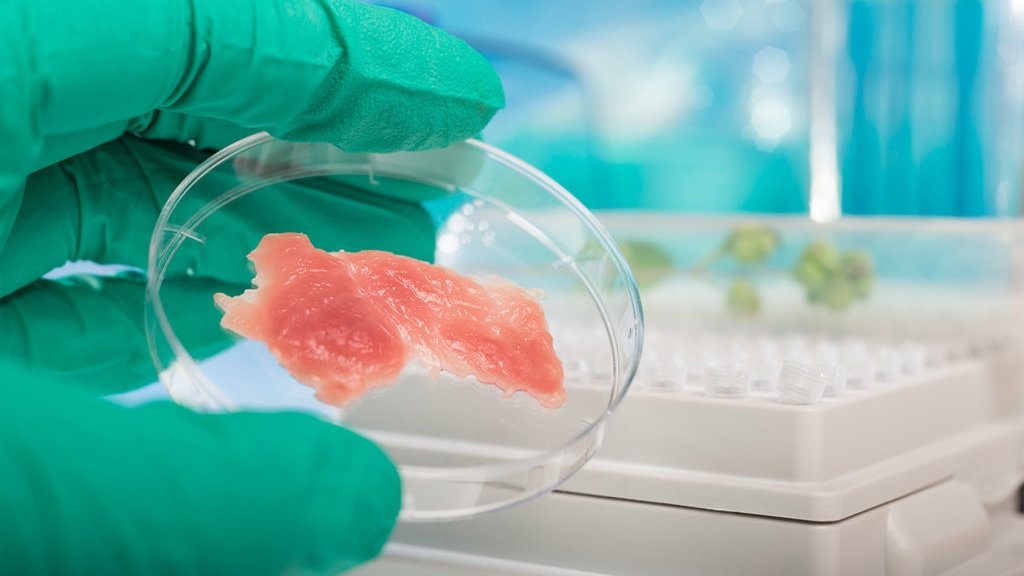 Siapkah Anda Mengonsumsi Daging Bikinan Lab yang Ramah Lingkungan? Siapkah Anda Mengonsumsi Daging Bikinan Lab yang Ramah Lingkungan?
