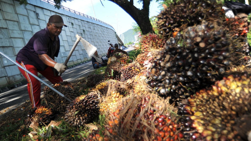 Kolombia dan Malaysia Ikut Lawan Kebijakan Sawit RED II Uni Eropa Kolombia dan Malaysia Ikut Lawan Kebijakan Sawit RED II Uni Eropa