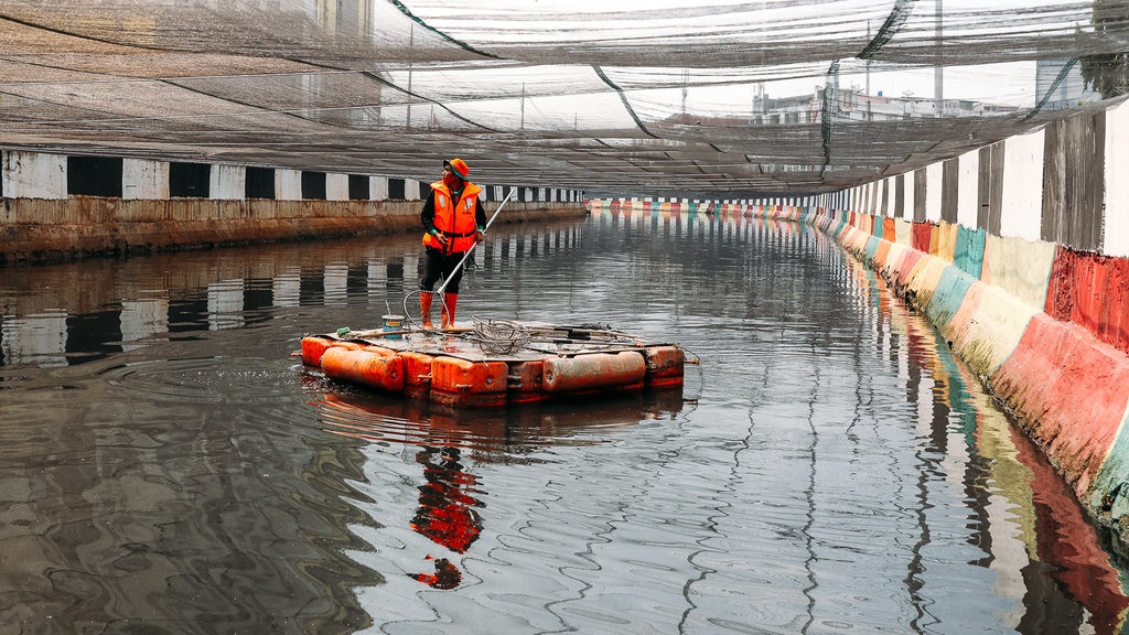 Anies Sebut Kali Item Ditutup Jaring untuk Kurangi Bau Tak Sedap Anies Sebut Kali Item Ditutup Jaring untuk Kurangi Bau Tak Sedap