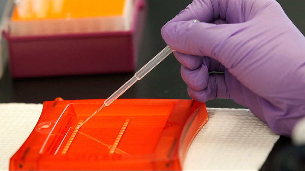 Crispr, Saat Gen Makhluk Hidup Bisa Diedit Seperti di Komputer Crispr, Saat Gen Makhluk Hidup Bisa Diedit Seperti di Komputer