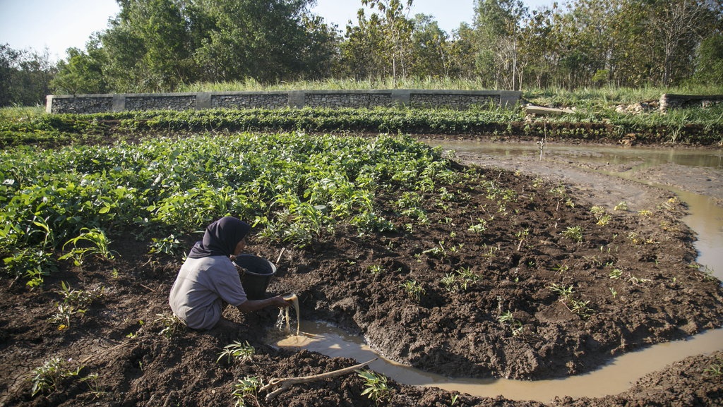 Siaga Darurat Kekeringan, 14 Kecamatan di Gunungkidul Krisis Air Siaga Darurat Kekeringan, 14 Kecamatan di Gunungkidul Krisis Air