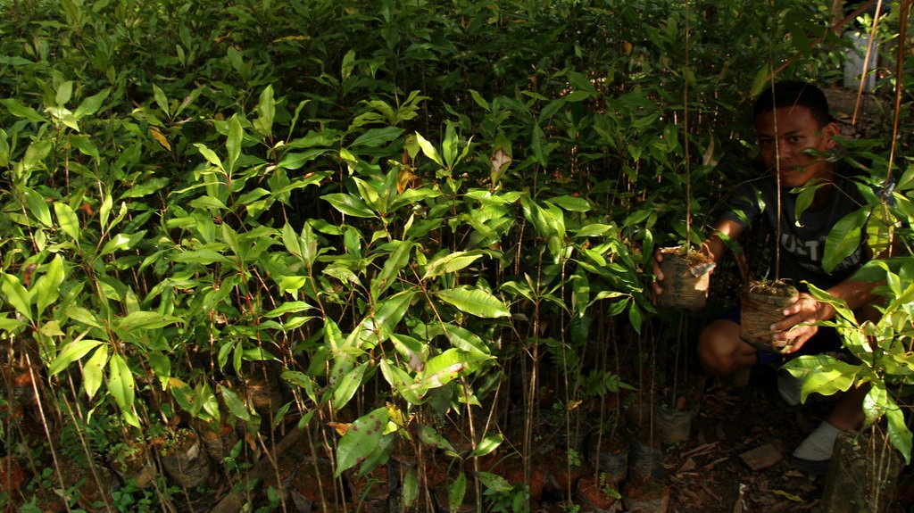 Aturan Baru, Impor Bibit dan Benih Kini Bebas Bea Masuk Aturan Baru, Impor Bibit dan Benih Kini Bebas Bea Masuk