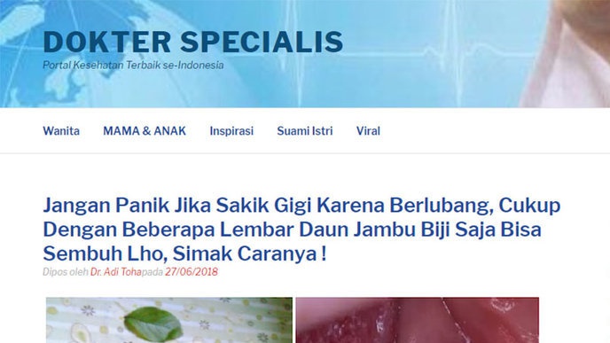 Amankah Menggunakan Bahan Alami untuk Sakit Gigi? 