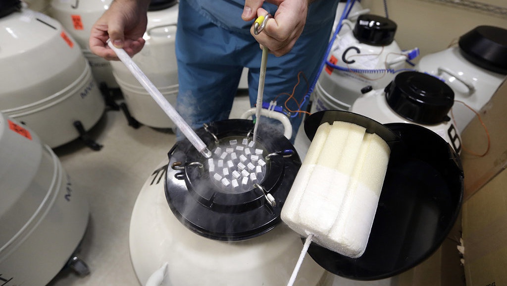 Jika Wanita Lajang Ingin Momongan: Simpan Sel Telur