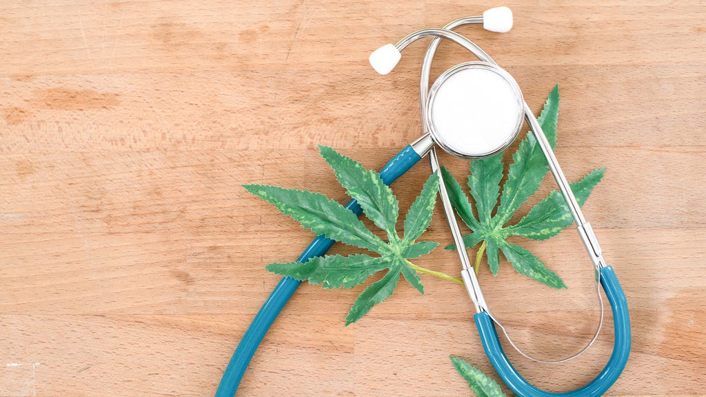 Ganja Medis Usai Fidelis: Mengapa Reynhart Harus Dibebaskan? Ganja Medis Usai Fidelis: Mengapa Reynhart Harus Dibebaskan?