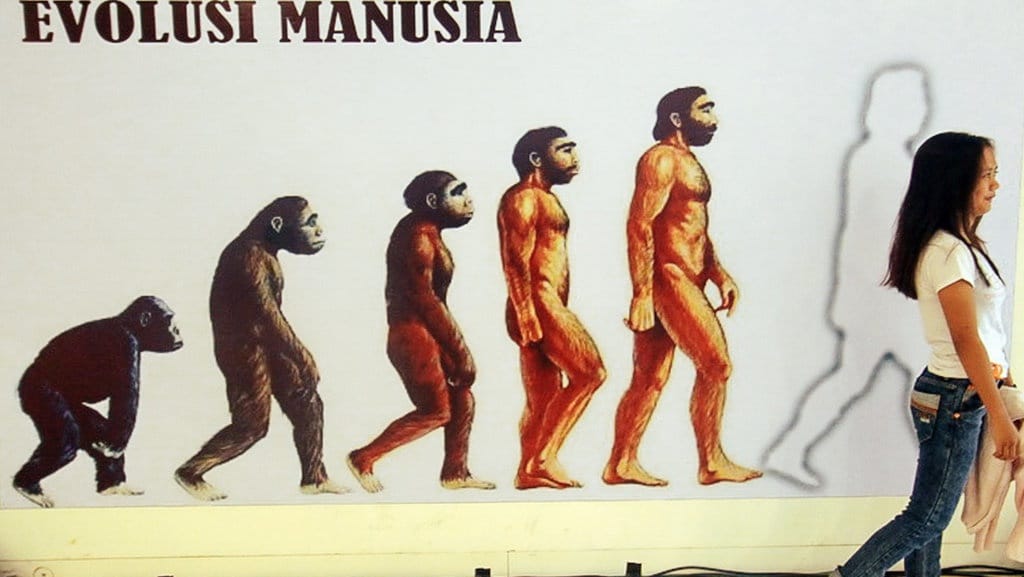 Perbedaan Manusia Purba dan Manusia Modern serta Persamaannya Perbedaan Manusia Purba dan Manusia Modern serta Persamaannya