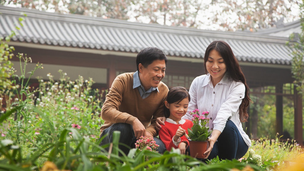 Manfaat Berkebun bagi Kesehatan Mental Manfaat Berkebun bagi Kesehatan Mental