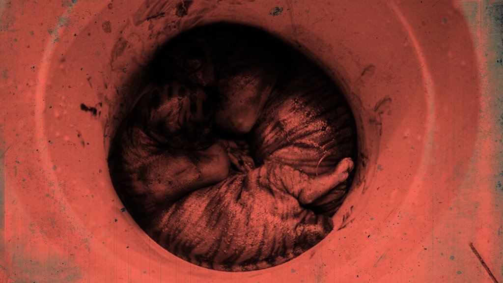 Jerat yang Membunuh dan Mengancam Populasi Harimau Sumatera Jerat yang Membunuh dan Mengancam Populasi Harimau Sumatera