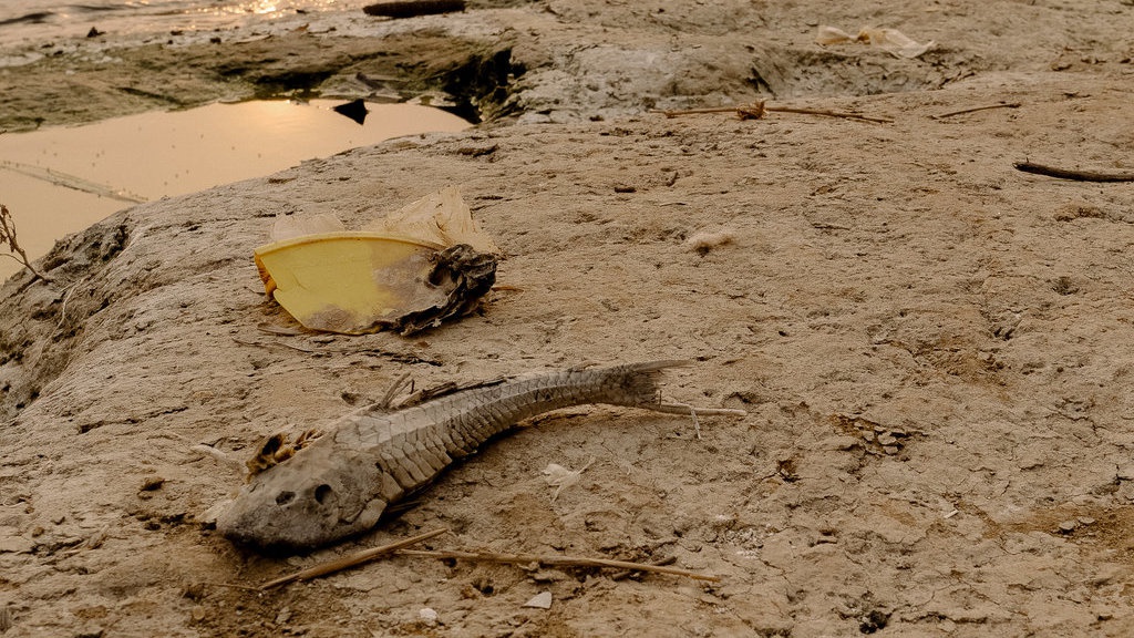 Problem Akut Pencemaran Sungai Cileungsi hingga Kali Bekasi Problem Akut Pencemaran Sungai Cileungsi hingga Kali Bekasi