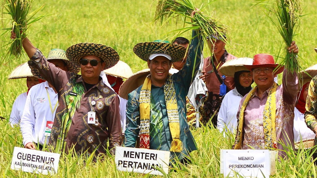 Mentan Sebut 1,5 Juta Ha Lahan Rawa akan Ditanam Padi & Jagung