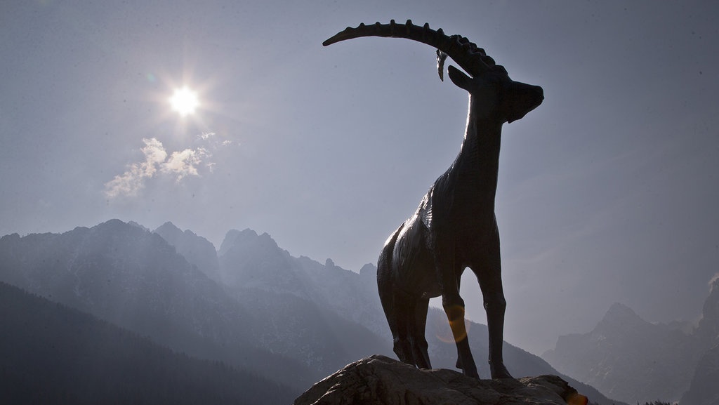 Menghidupkan Spesies Punah, Kebutuhan yang Melanggar Etika? Menghidupkan Spesies Punah, Kebutuhan yang Melanggar Etika?